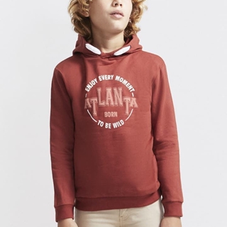 SUDADERA CON CAPUCHA - Imagen 1